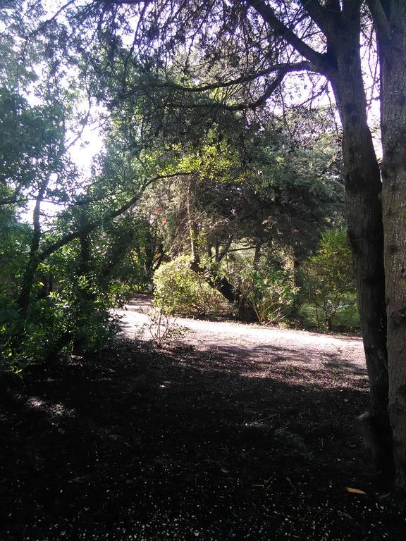Сasa de vacaciones Nature Lagos