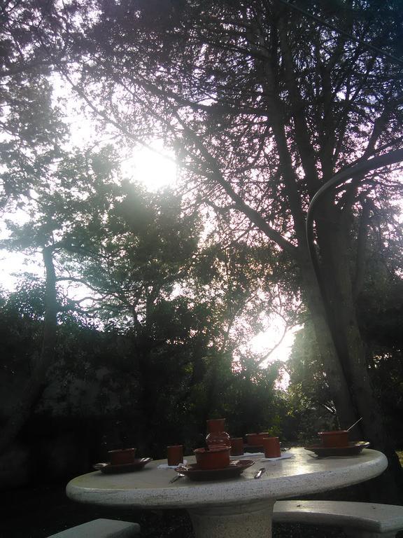 Сasa de vacaciones Nature *