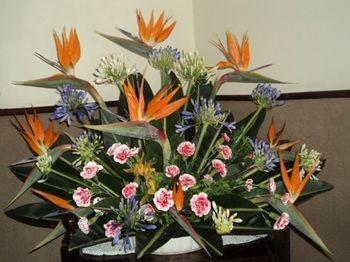 Guest house Pensao Residencial Mirasol 3*