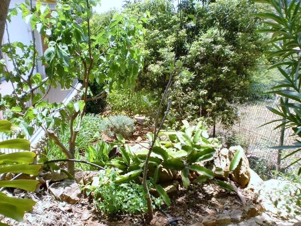 Quinta Dos Caracois Holiday park Lagos