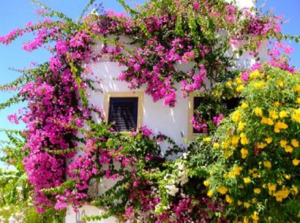 Casa Portuguesa Holiday home *