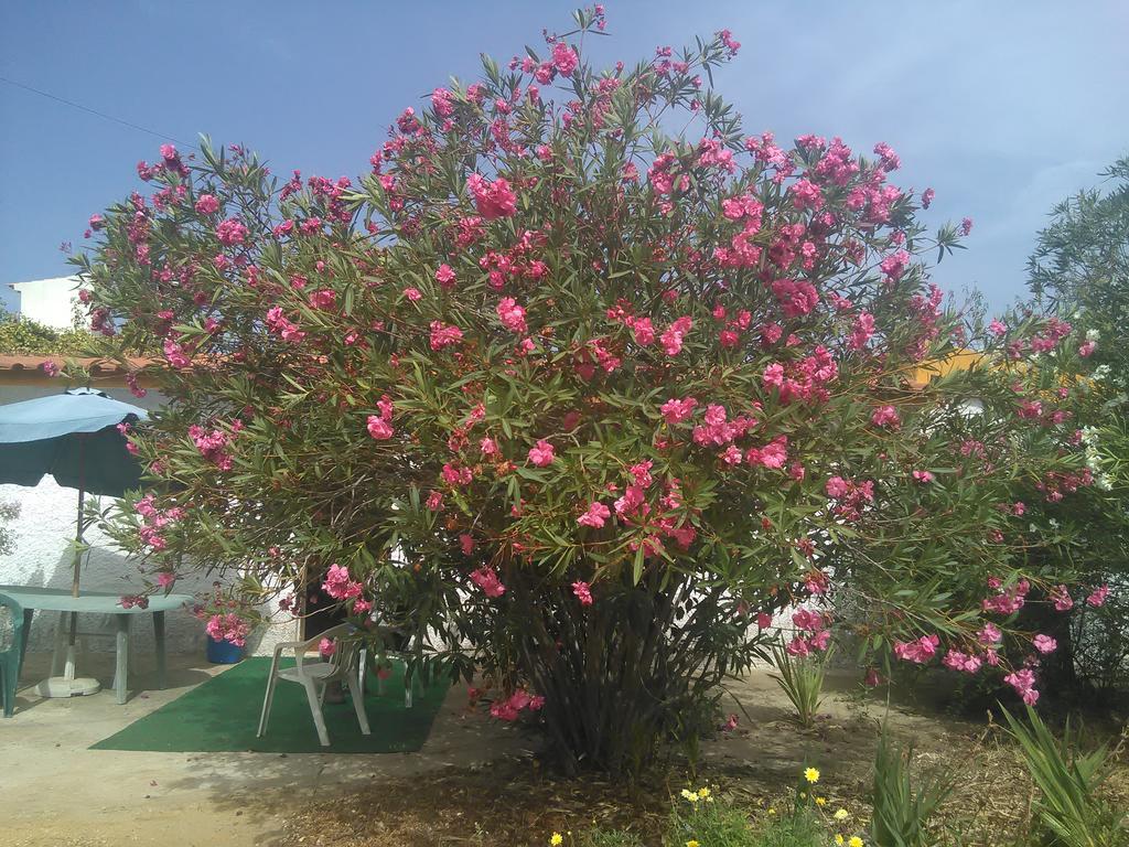 Сasa de vacaciones Nature *