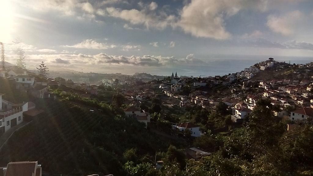 Vista