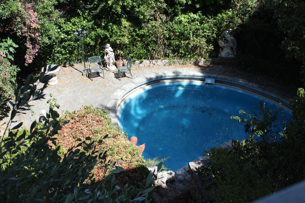 Guest house Jasmim Doce *