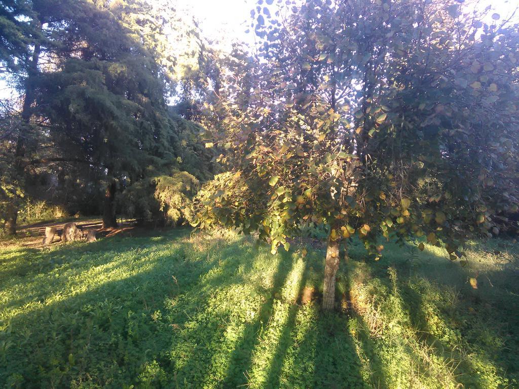 Сasa de vacaciones Nature