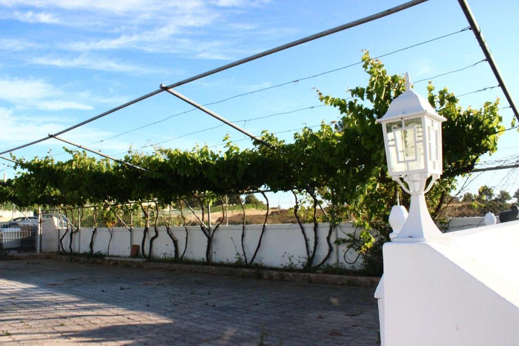 Guest house Sunshine *