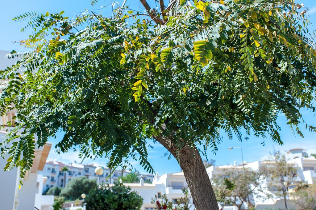 Vista Anders Mar Villa Lagos