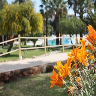 Vital By Check-in Portugal Vakantiehuis *