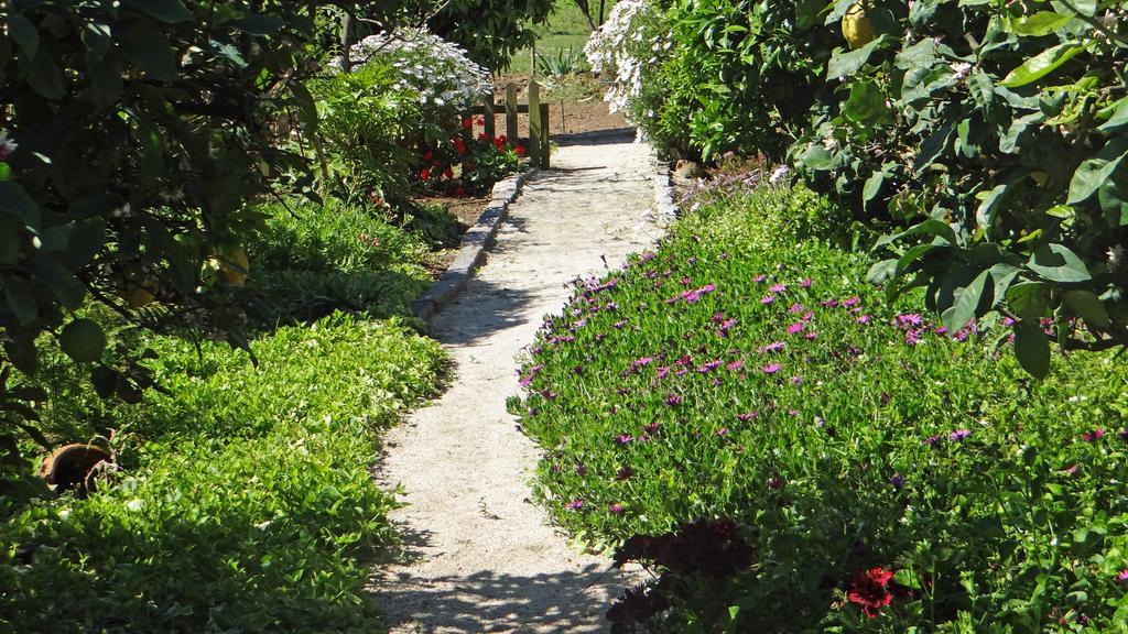 Casa Da Quinta Holiday home Porto
