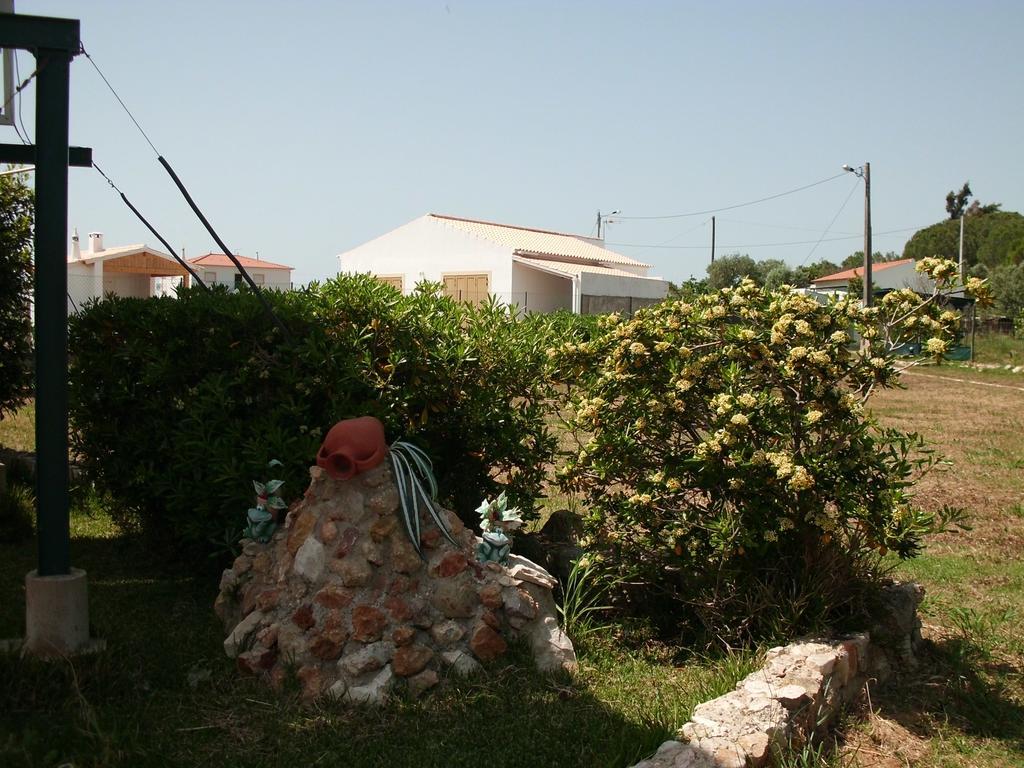 Moradia Perto Dos Palmares * Lagos