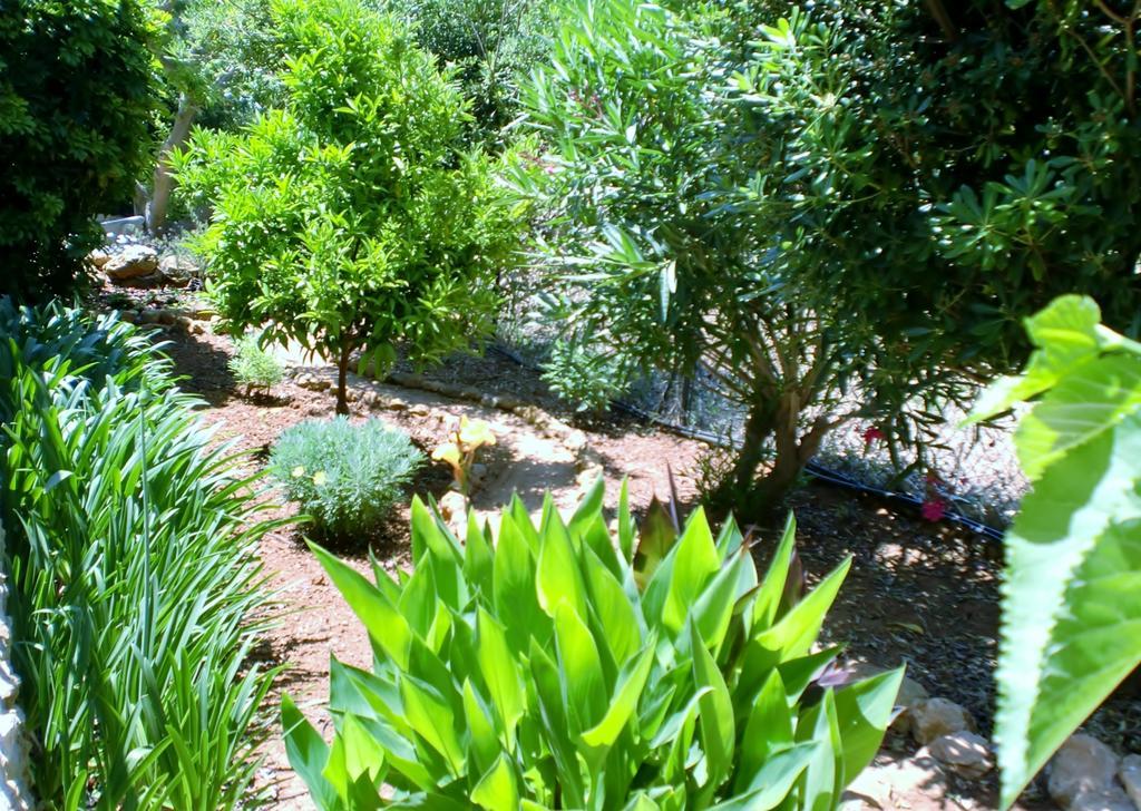 Quinta Dos Caracois 3* Lagos