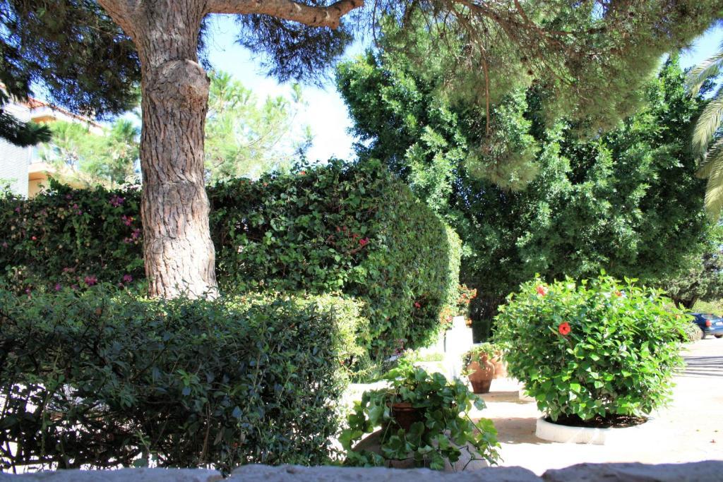 Quinta Da Ameijeira 3* Lagos