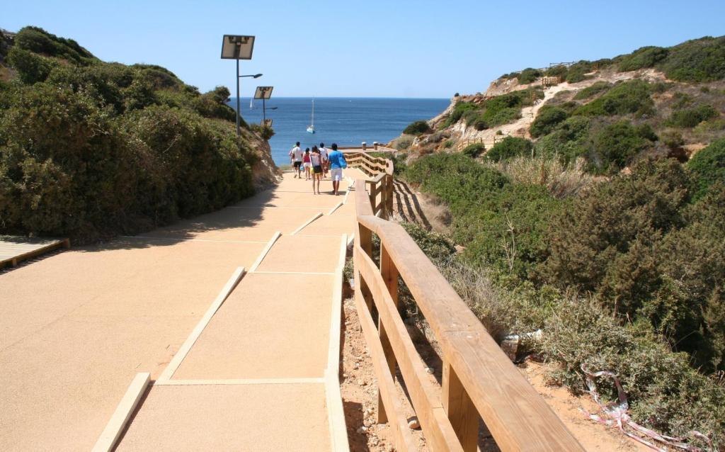 Apartamento Pine Tree - Da Coelha - *