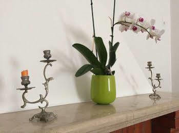 Hostal Eco Ljmonade *