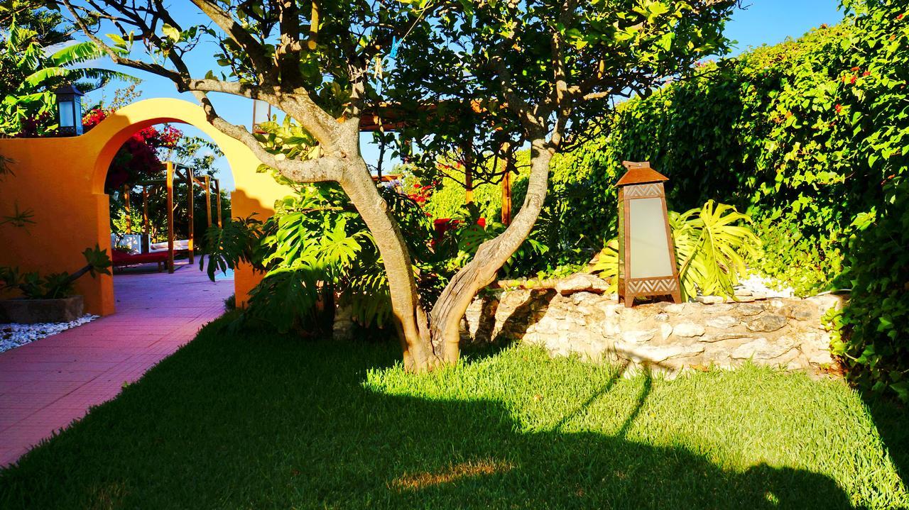 Seventies Cheap And Chic Guest house 3*