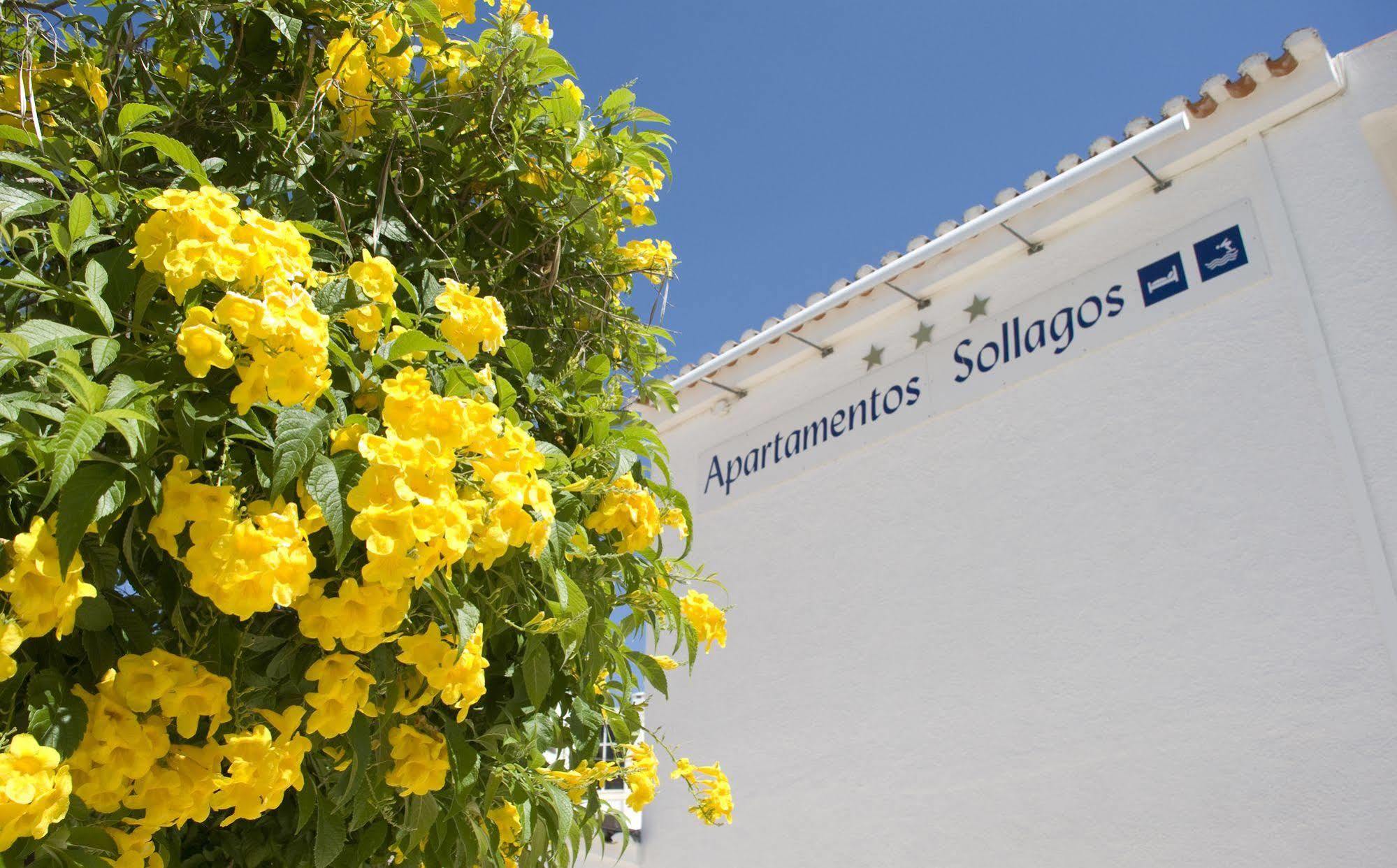 Sollagos *