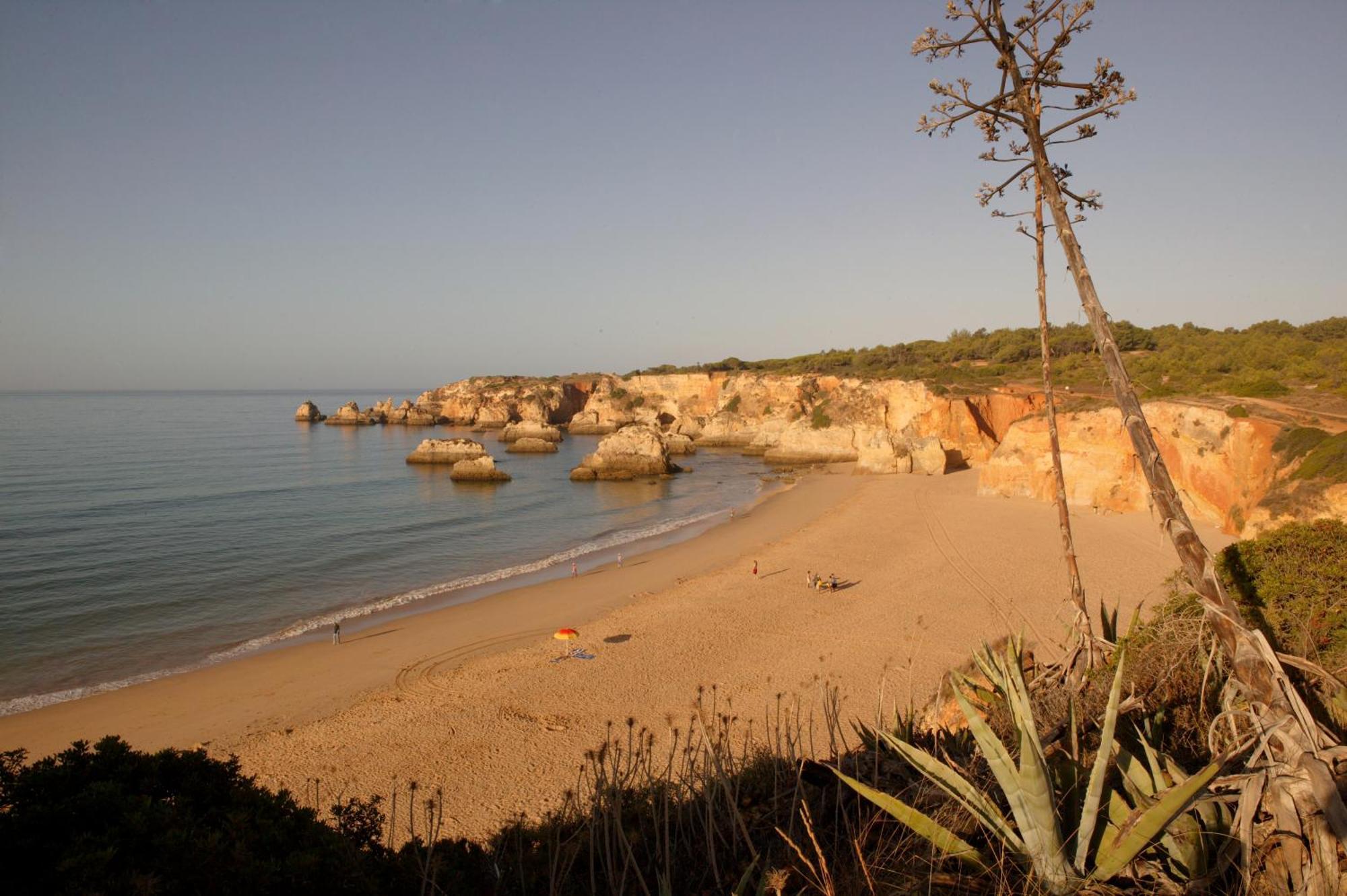 Interpass Vau Portimao