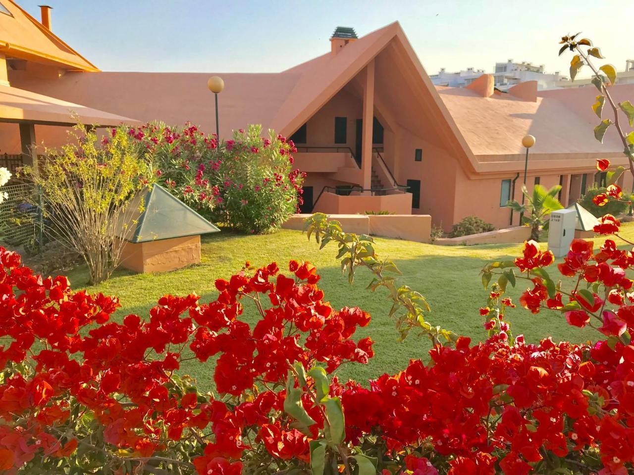 Apartamento Marina Garden By Ethnic Ocean
