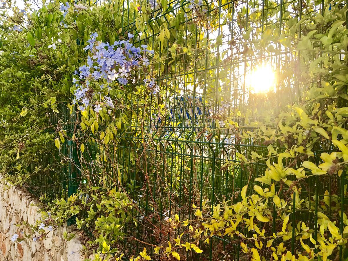 Apartamento Marina Garden By Ethnic Ocean