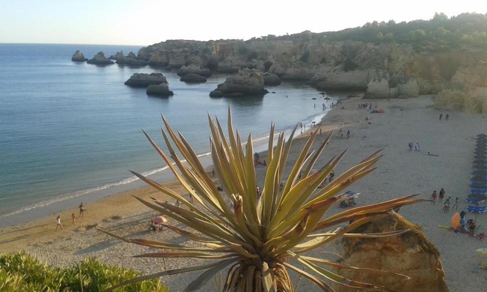 Vila Lido 3*