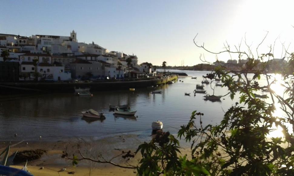 Vila Lido