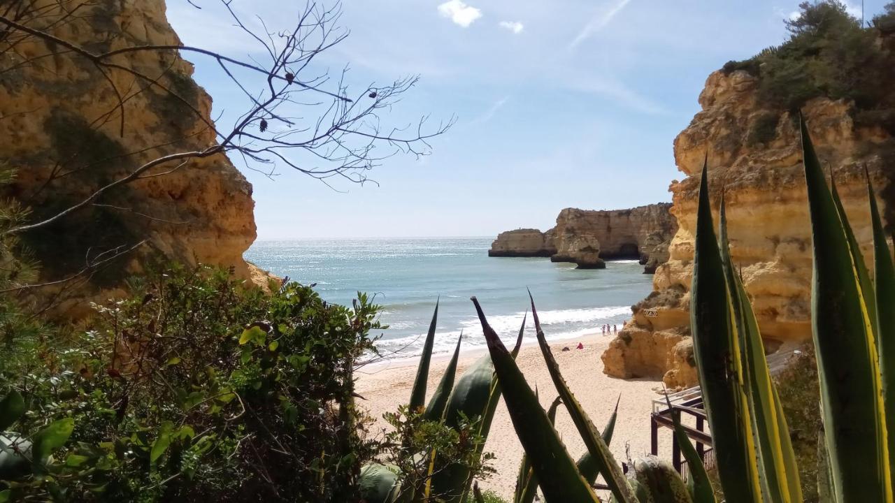 Prime Albufeira