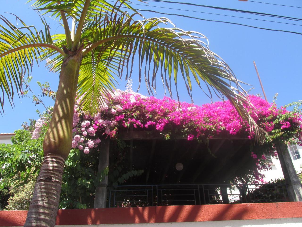 Vista Oceano Apartamento Funchal (Madeira)