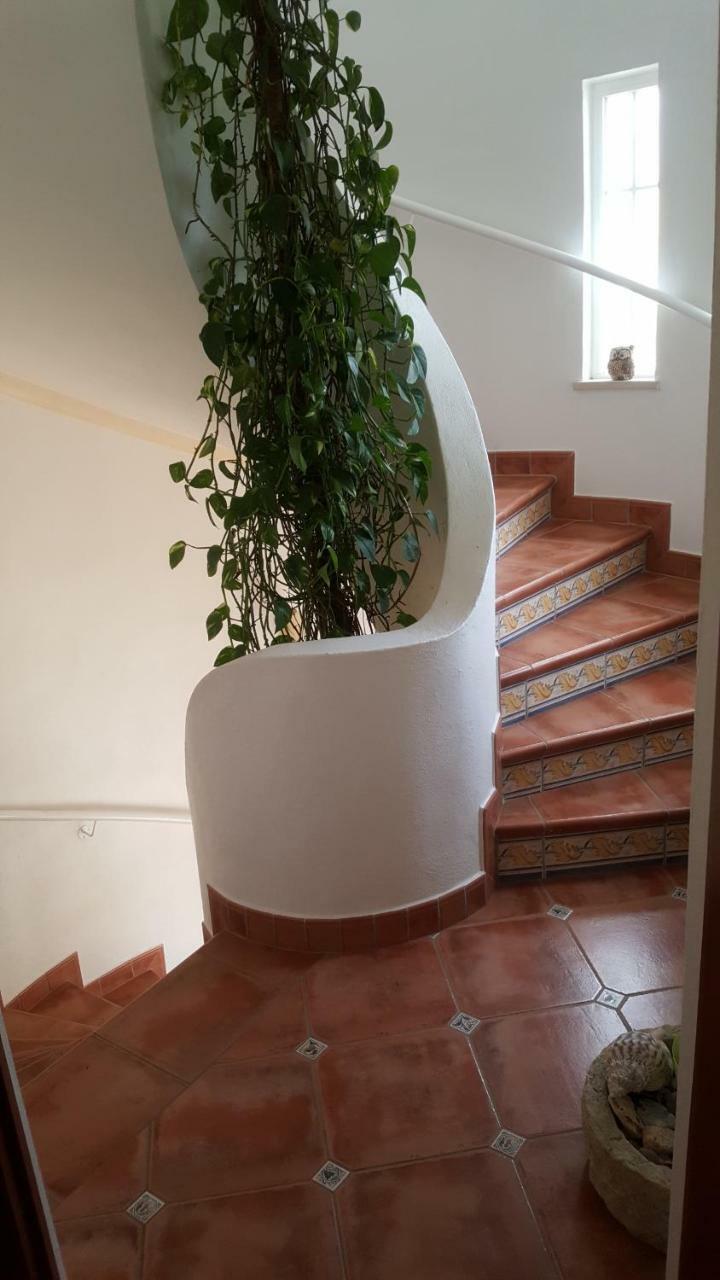 Villa Casa Do Mocho *