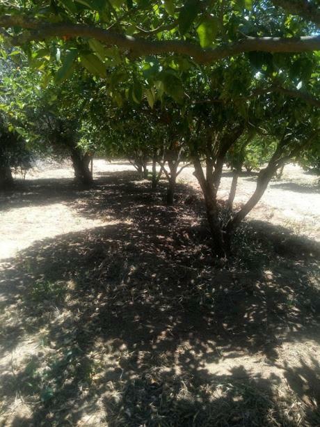 Сasa de vacaciones Nature