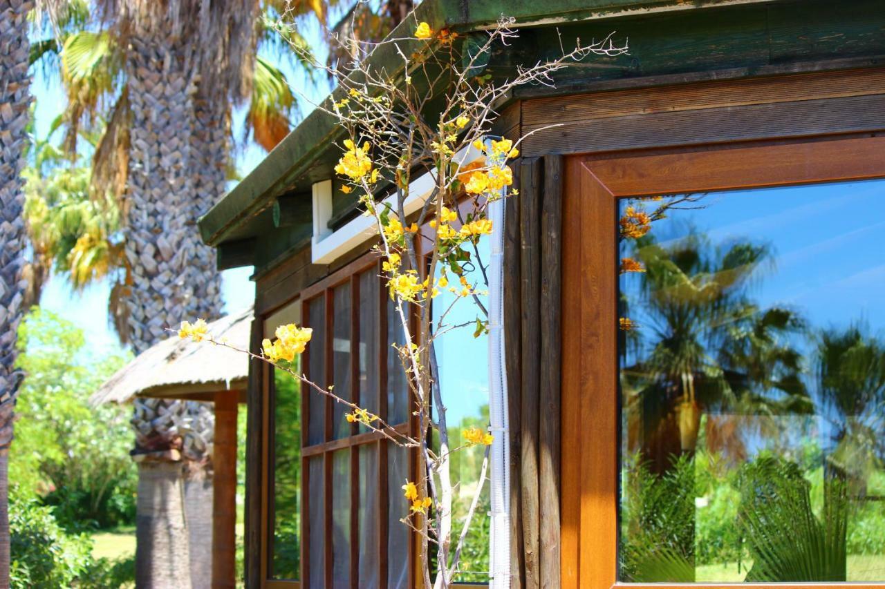 Holiday park Quinta Do Mar - Country & Sea Village Praia Da Luz