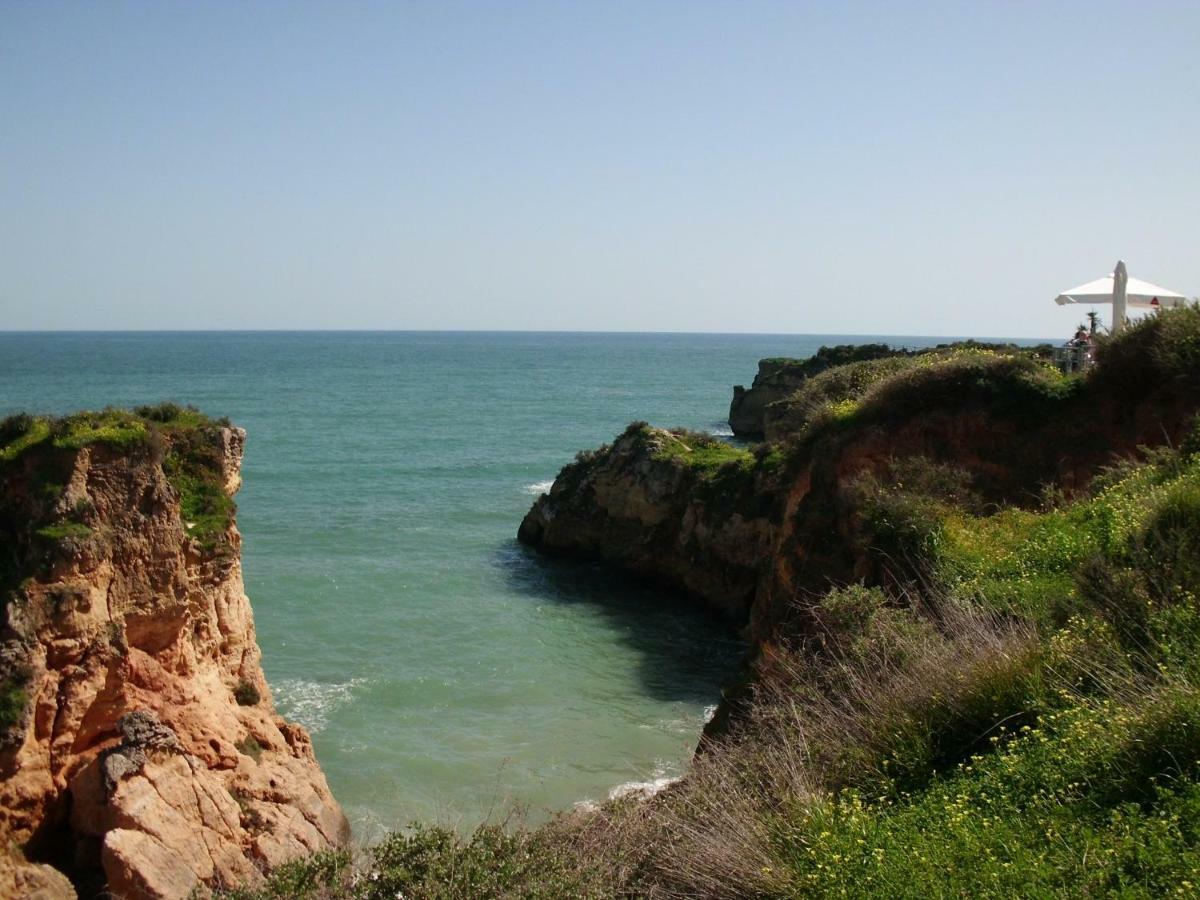 Holiday home Moradia Perto Dos Palmares *