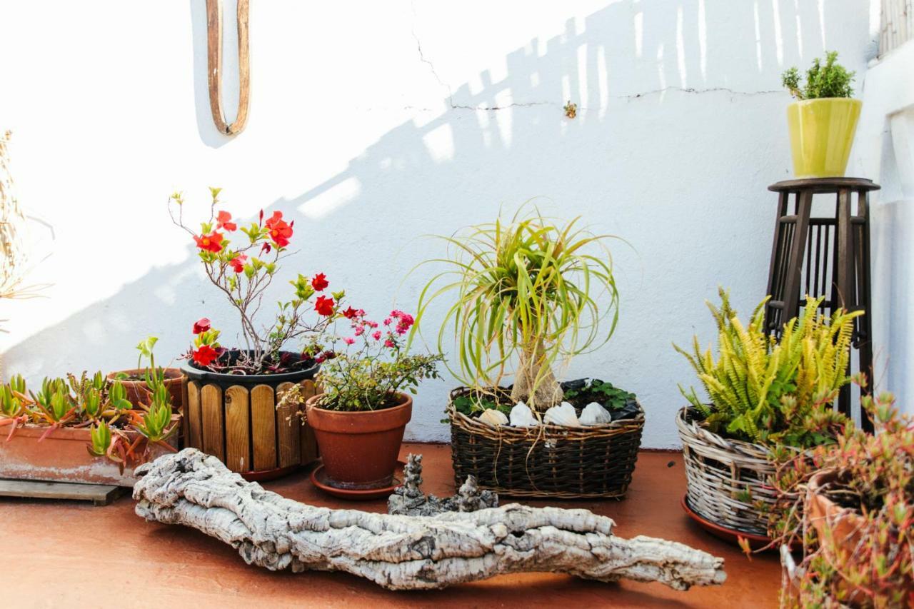 Hostal Olive Lagos