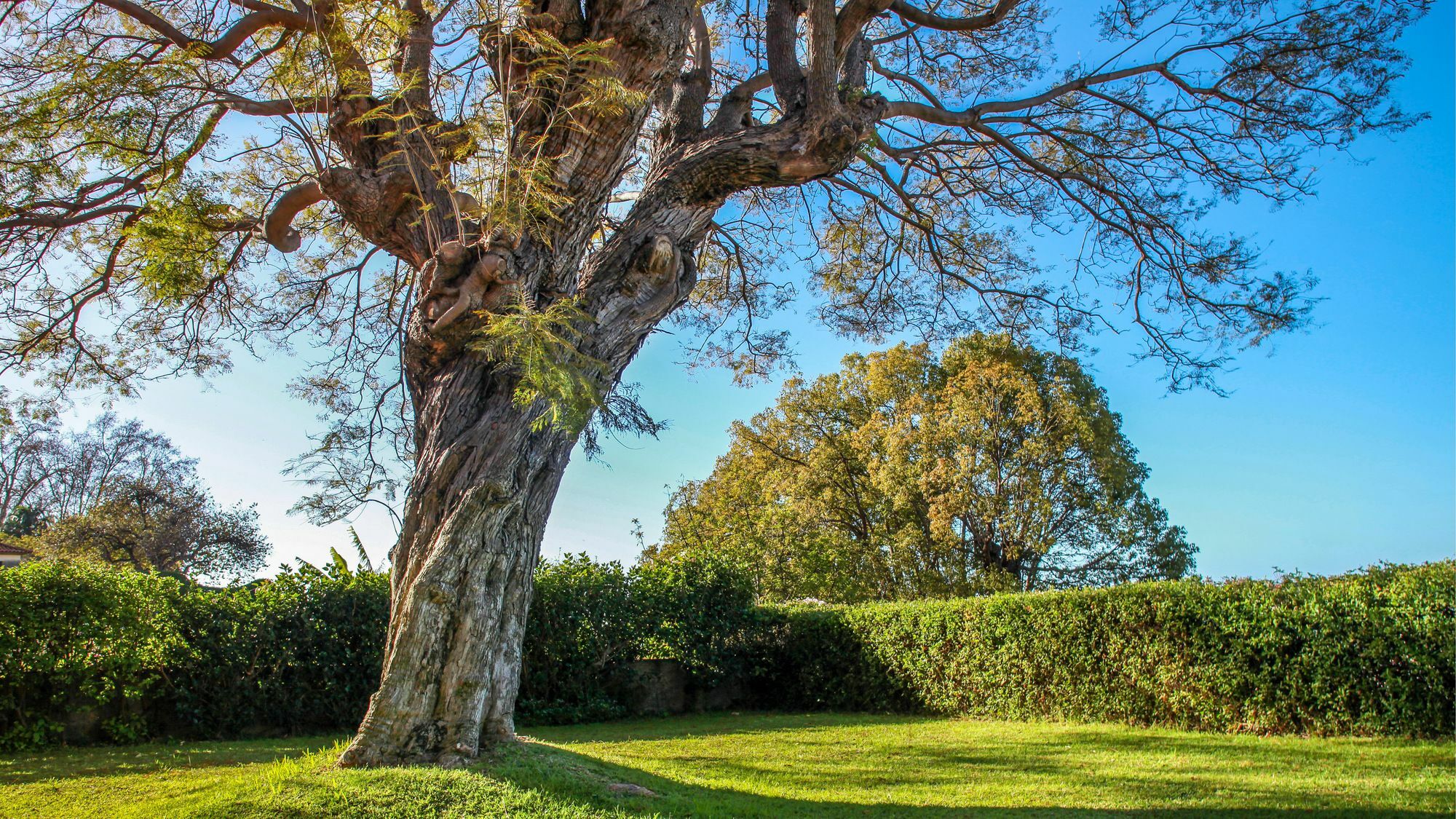 Quinta Das Malvas - Quinta De Santa Luzia 4*