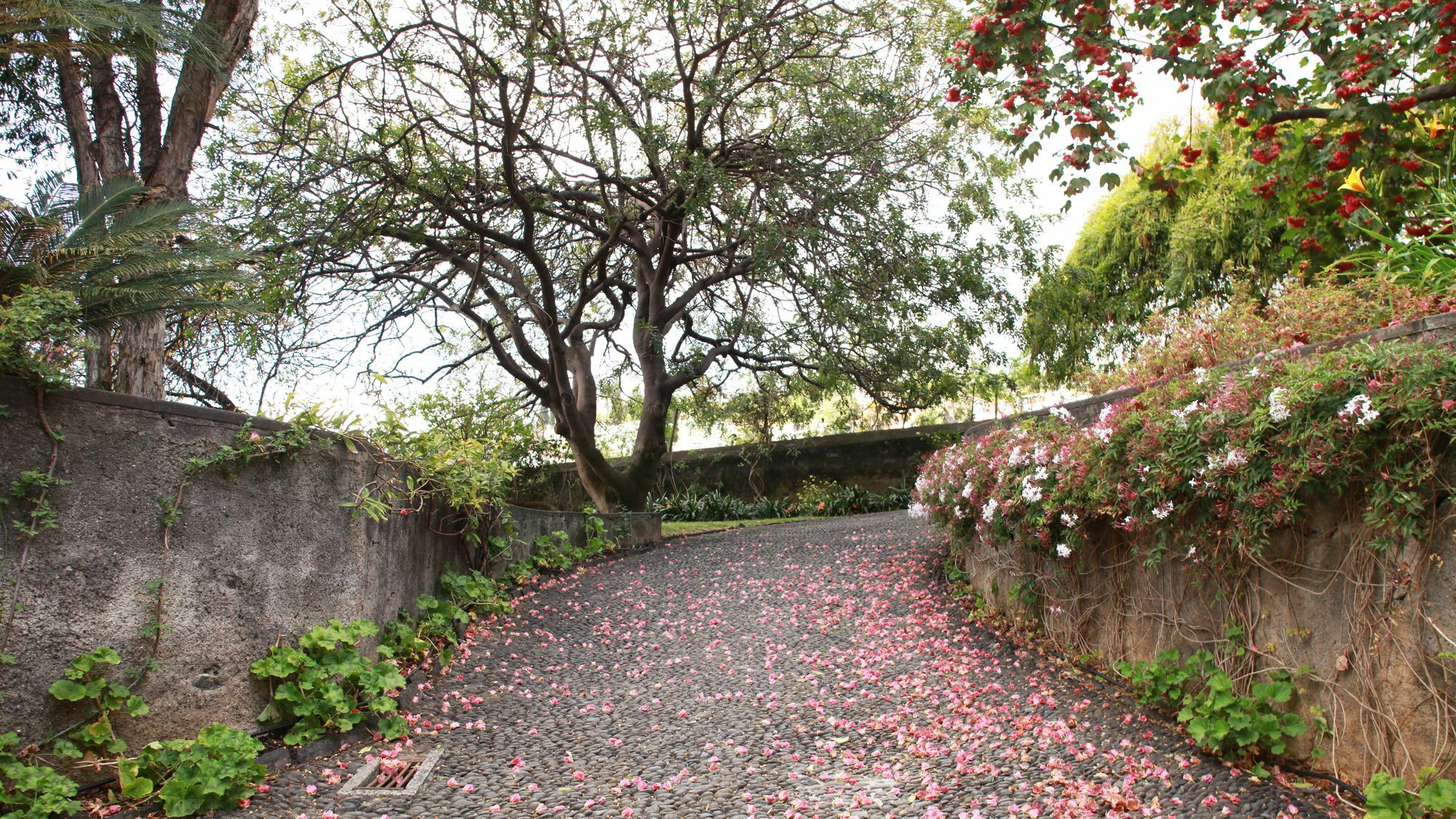 Quinta Das Malvas - Quinta De Santa Luzia 4* Funchal (Madeira)
