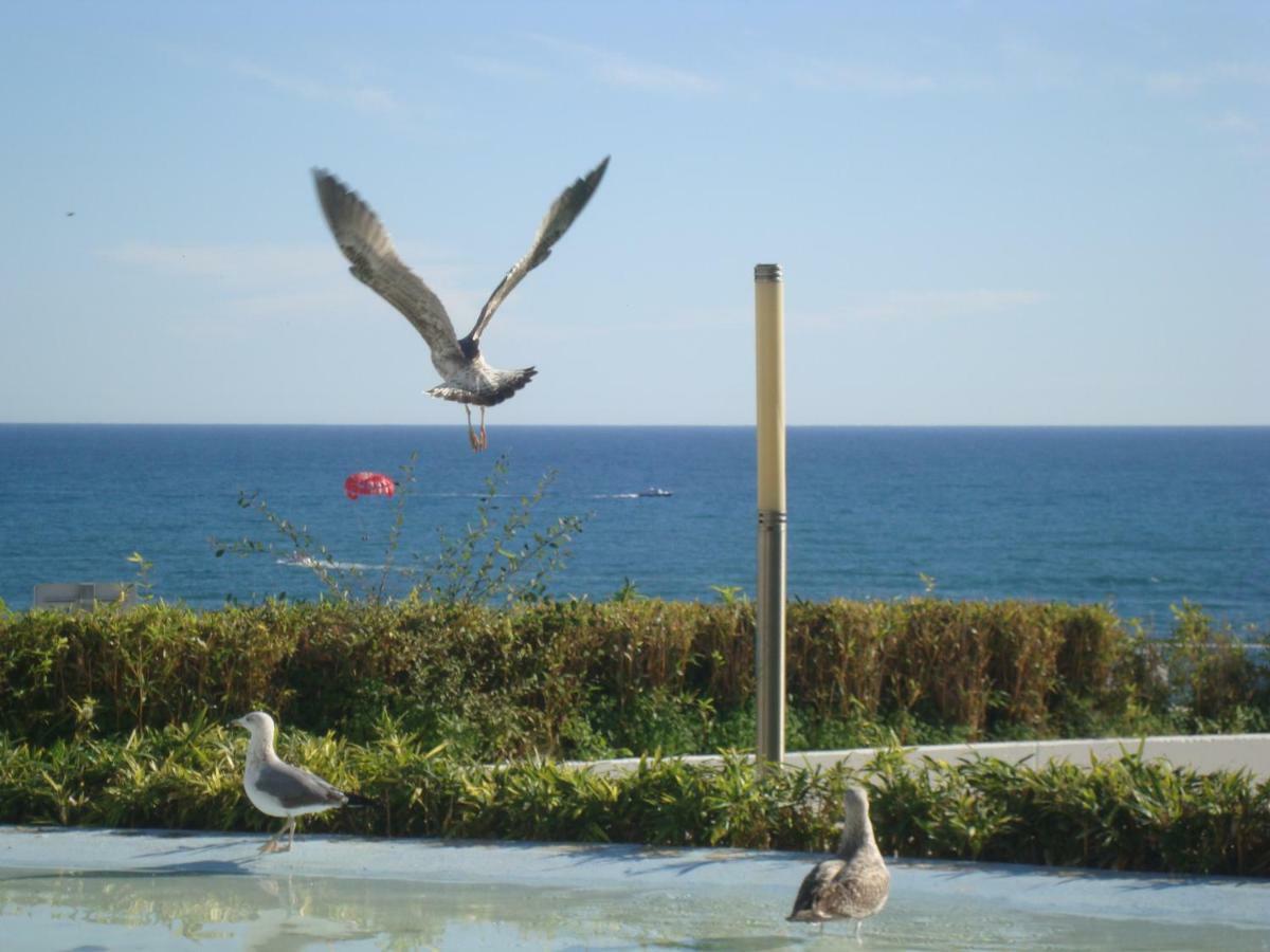 Gasthuis Algarvia Boutique & Albufeira