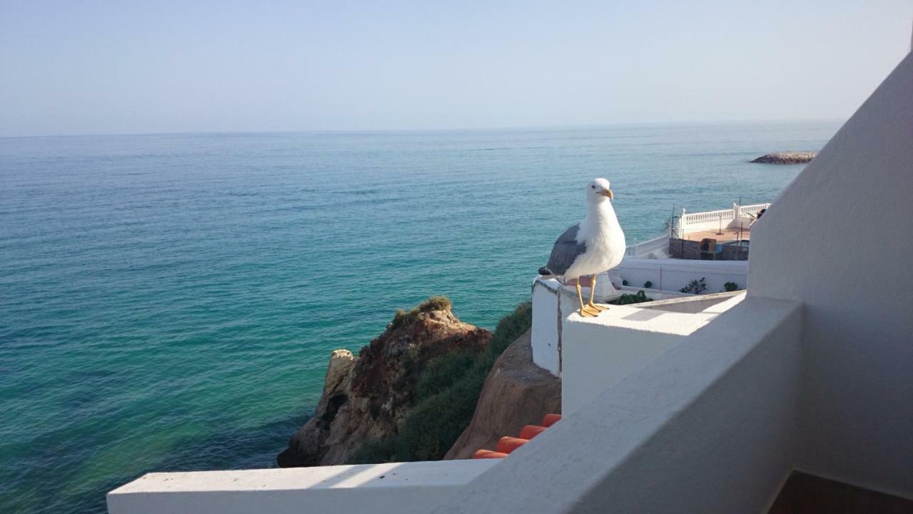 Apartment Aurora Costa Azul Albufeira
