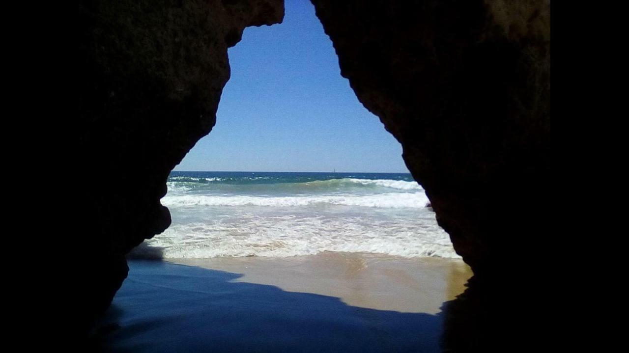 Da Rocha *