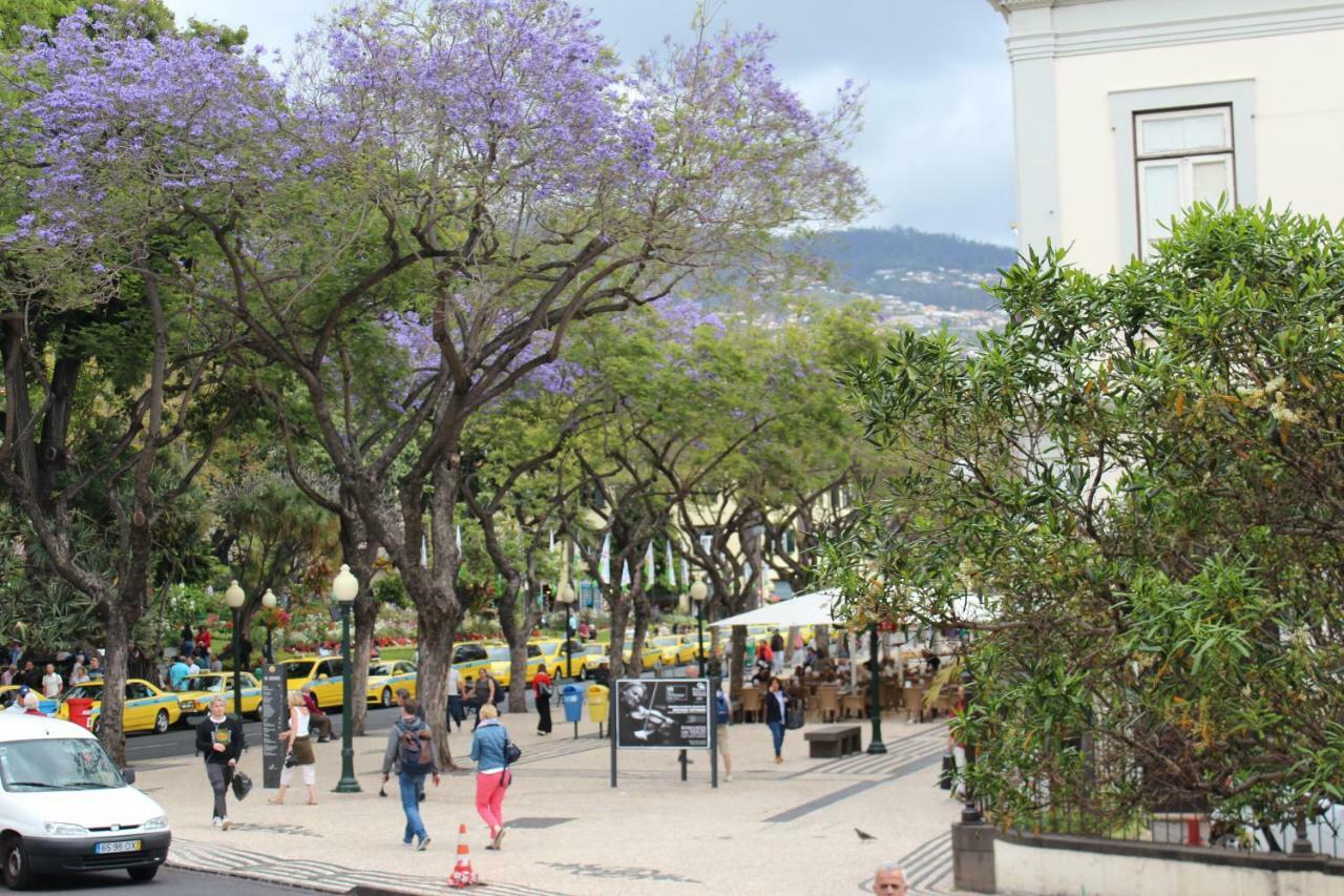 Apartamento Marina By Madeira