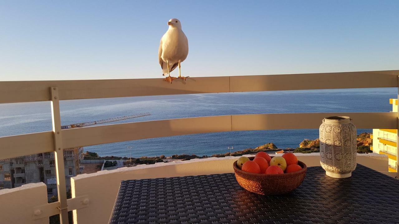 Apartamento Ma Vue En Algarve Portimão
