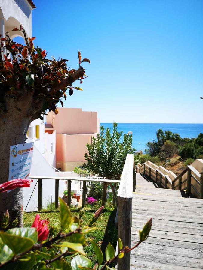 Apartamento Casa Joao Bravo