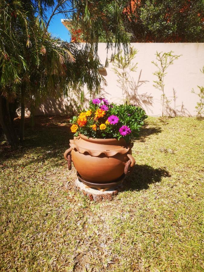 Casa Dos Cedros Pensión
