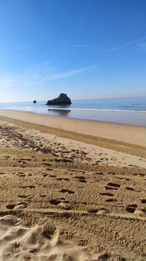 T1 Praia Da Rocha With Amazing Sea View Portimao