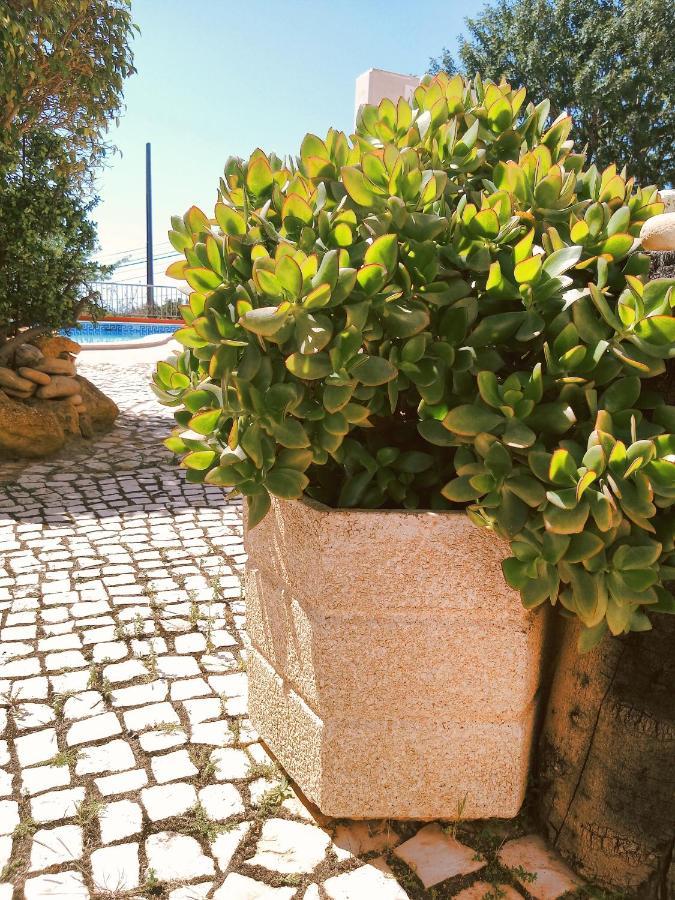 Quinta Dos Caracois Holiday park 3*