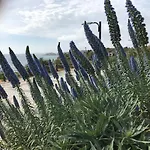 Sol Mar