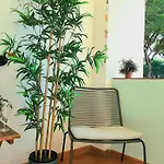 Apartment Amalia