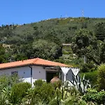 Pirilampo