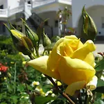 Residencia Quinta Do Poco Guesthouse