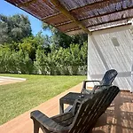 Galo By Check-In Portugal