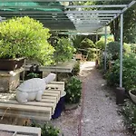 Quinta Das Eirinhas-Jardim De Bonsai