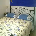 Cats House